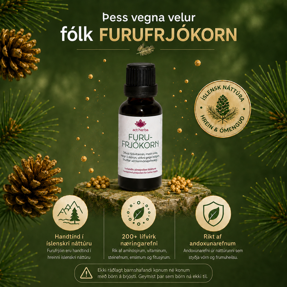 Furufrjókorn